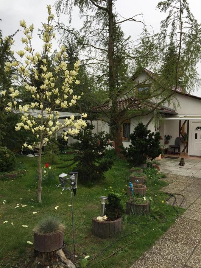 Neutrebbin Kleines Haus Im Oderbruch 아파트 외부 사진