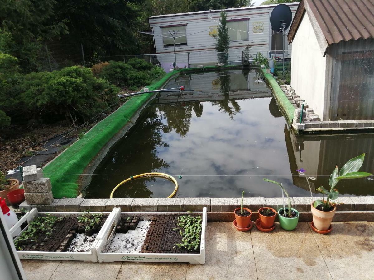 Neutrebbin Kleines Haus Im Oderbruch 아파트 외부 사진